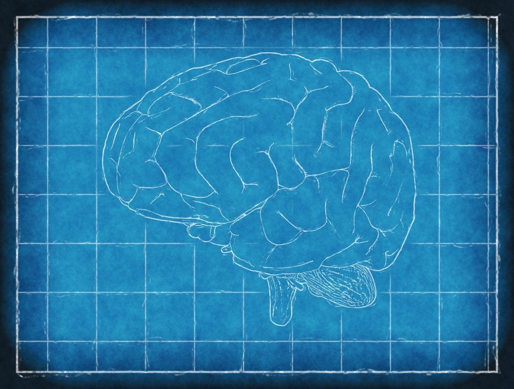 brain, blueprint, thinking