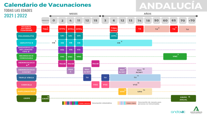 Vacuna de gripe y otras vacunas el mismo día - Vacunaciones Andalucía