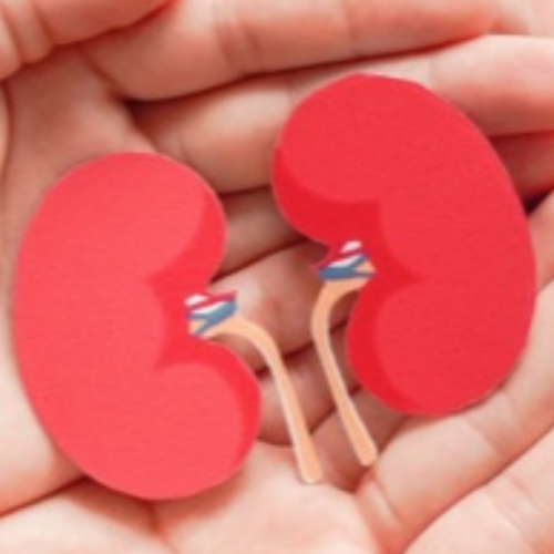 enfermedad-renal enfermedad-renal